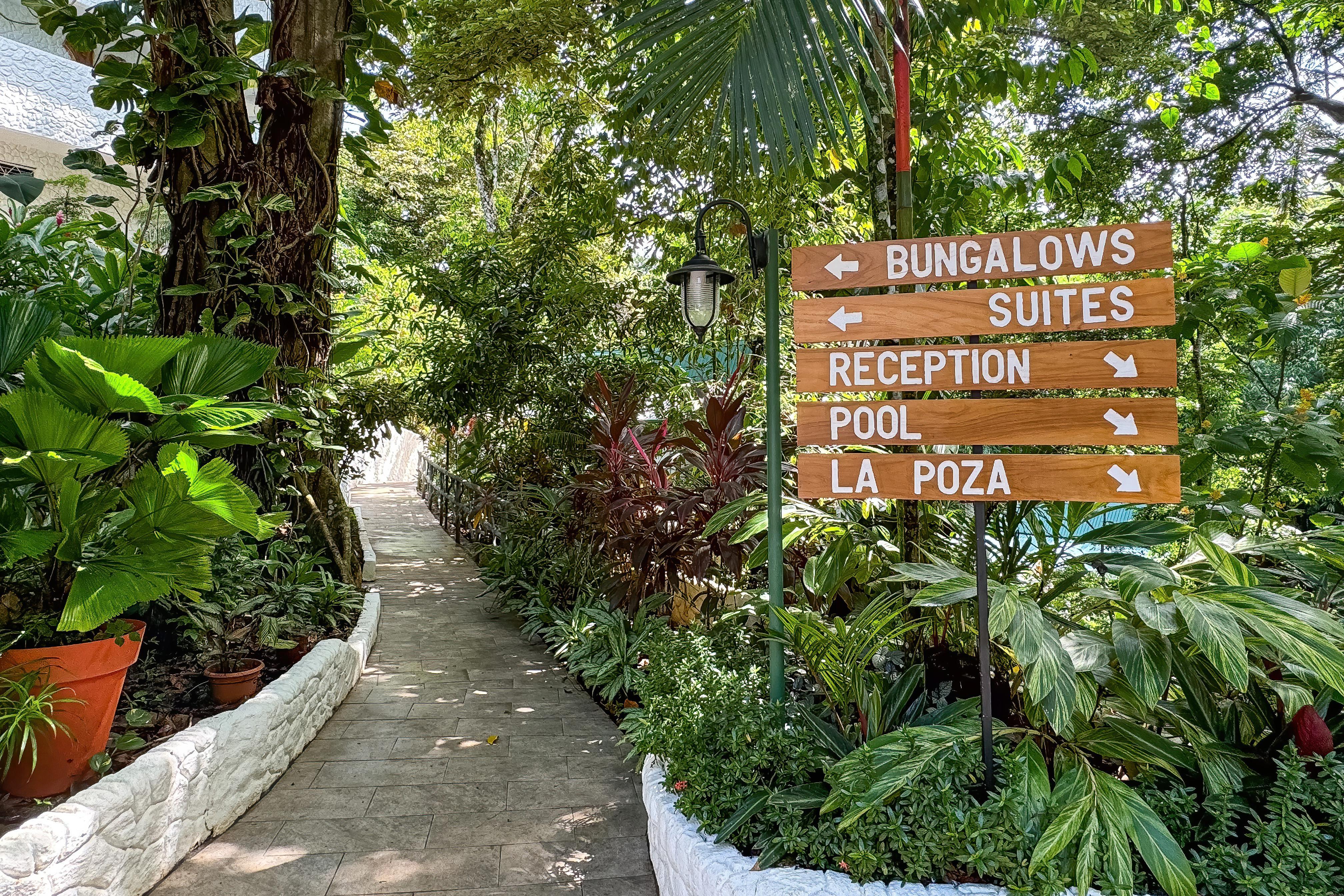 Ecotica Boutique Hotel (Adults Only) Manuel Antonio Bagian luar foto